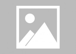 名侦探学院 第五季,探案风云再起，智慧与勇气的巅峰对决