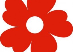 送她一朵小红花,送她一朵小红花，见证成长的力量