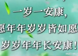 岁岁年年皆如愿,愿心如愿